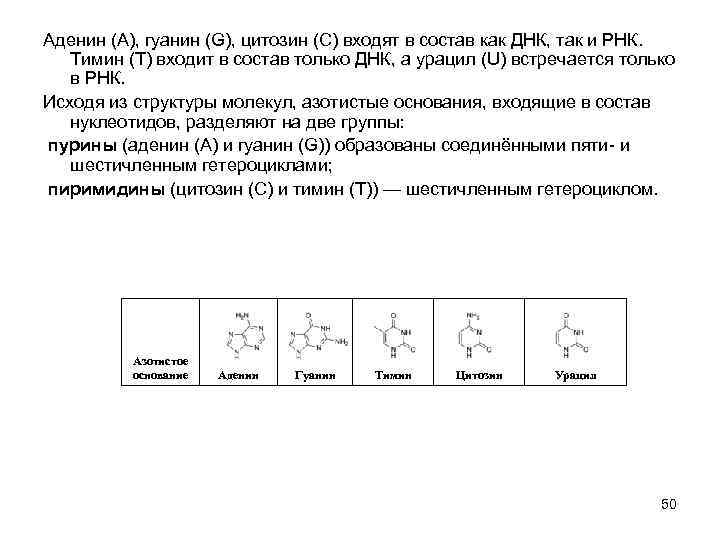 Аденин (A), гуанин (G), цитозин (C) входят в состав как ДНК, так и РНК.