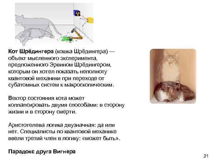 Кот Шрёдингера (кошка Шрёдингера) — объект мысленного эксперимента, предложенного Эрвином Шрёдингером, которым он хотел