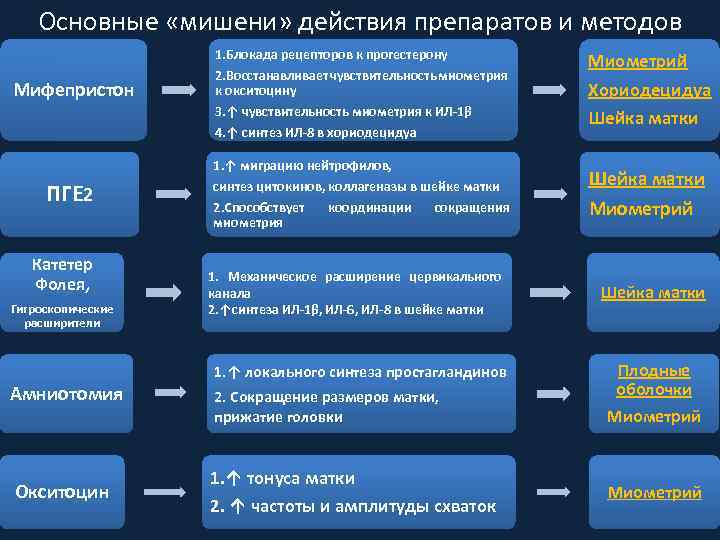 Основные «мишени» действия препаратов и методов Мифепристон 1. Блокада рецепторов к прогестерону 2. Восстанавливает