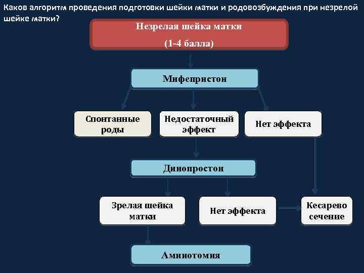 Каков алгоритм проведения подготовки шейки матки и родовозбуждения при незрелой шейке матки? Незрелая шейка