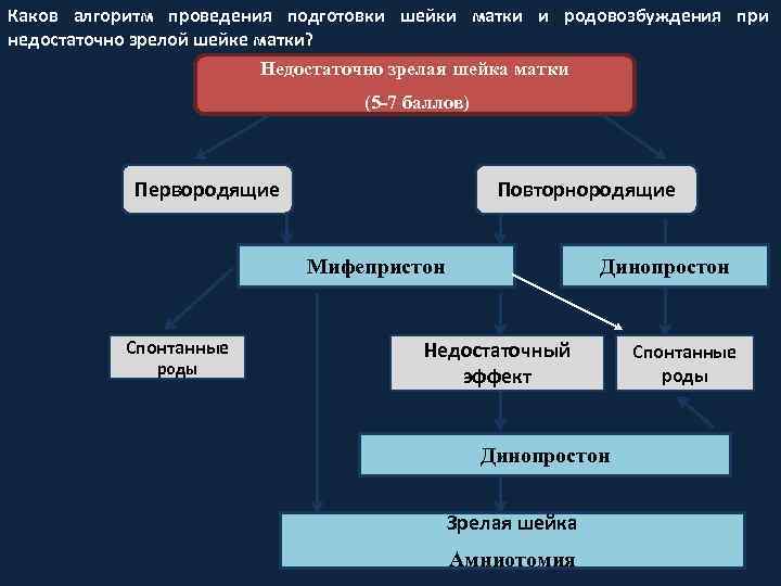 Каков алгоритм проведения подготовки шейки матки и родовозбуждения при недостаточно зрелой шейке матки? Недостаточно