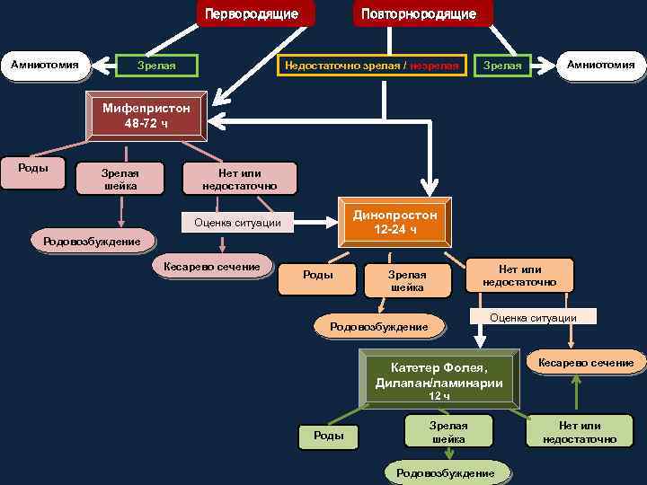 Первородящие Амниотомия Зрелая Повторнородящие Недостаточно зрелая / незрелая Амниотомия Зрелая Мифепристон 48 -72 ч