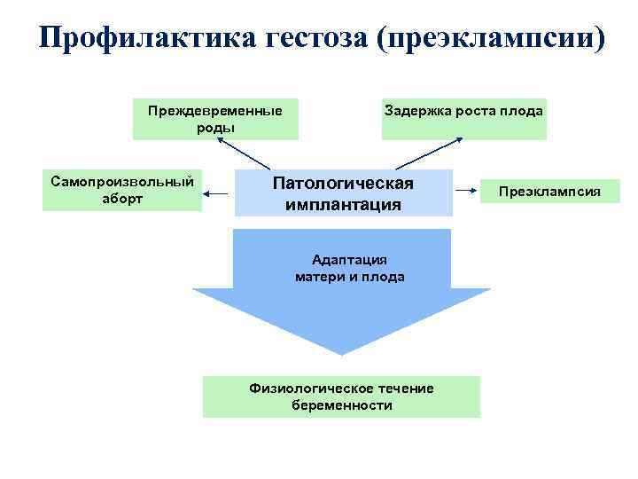 Профилактика гестоза (преэклампсии) Преждевременные роды Самопроизвольный аборт Задержка роста плода Патологическая имплантация Адаптация матери