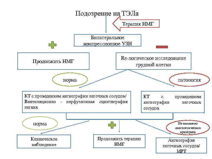 Подозрение на ТЭЛа Терапия НМГ Билатеральное компрессионное УЗИ Продолжить НМГ Re-логическое исследование грудной клетки