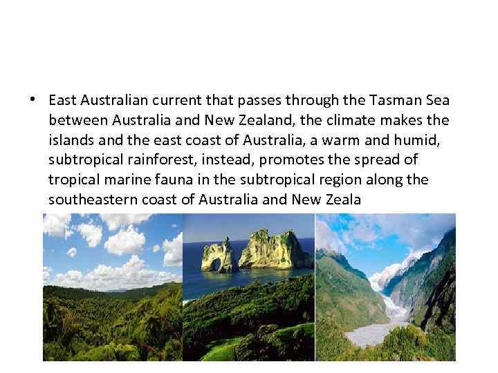  • East Australian current that passes through the Tasman Sea between Australia and