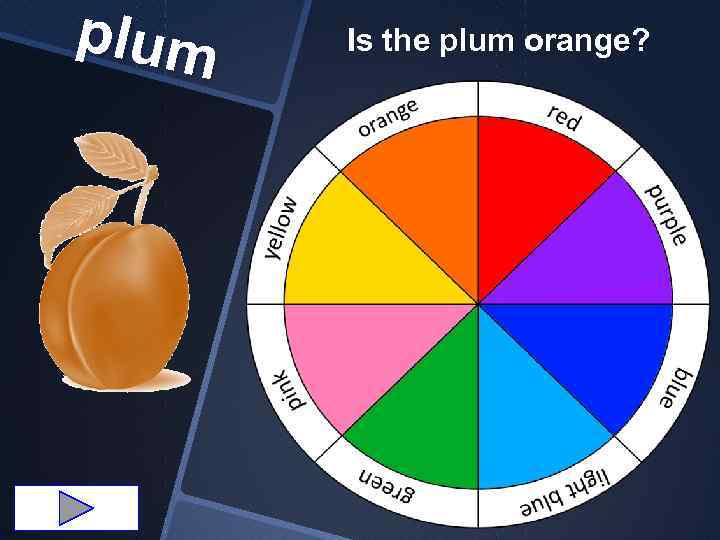 plum Is the plum orange? 