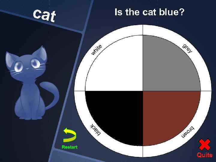 cat Is the cat blue? 