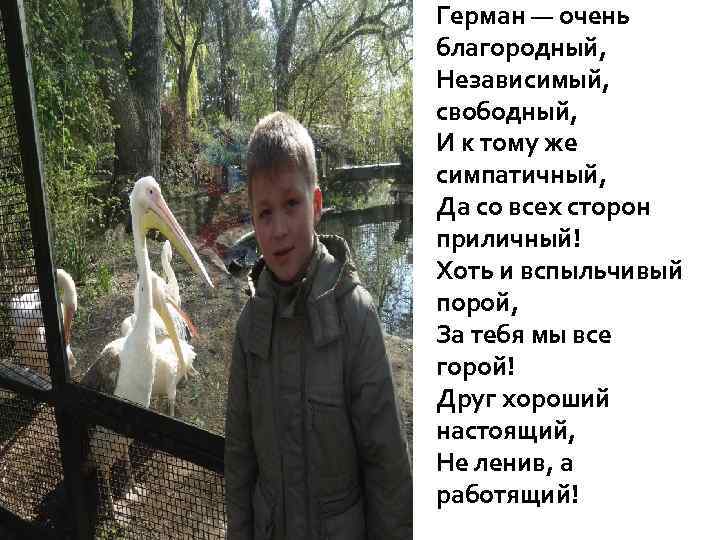 Герман — очень благородный, Независимый, свободный, И к тому же симпатичный, Да со всех