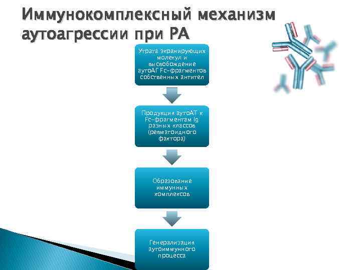 Иммунокомплексный механизм аутоагрессии при РА Утрата экранирующих молекул и высвобождение ауто. АГ Fc-фрагментов собственных