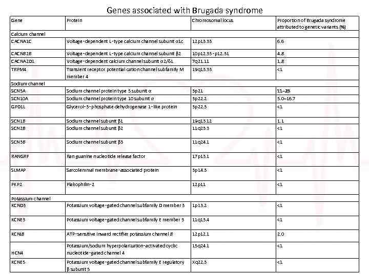 Genes associated with Brugada syndrome Gene Protein Chromosomal locus Proportion of Brugada syndrome attributed