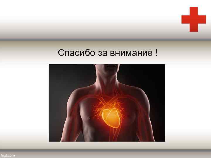 Спасибо за внимание ! 