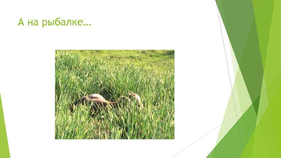 А на рыбалке… 