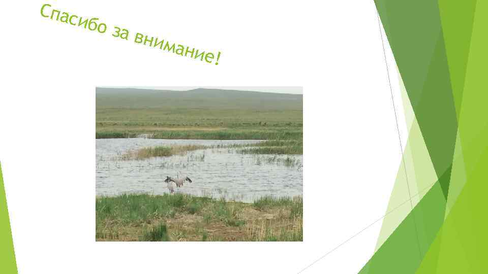 Спас ибо за вн иман ие! 