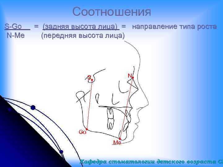 Соотношения S-Go N-Me = (задняя высота лица) = направление типа роста (передняя высота лица)