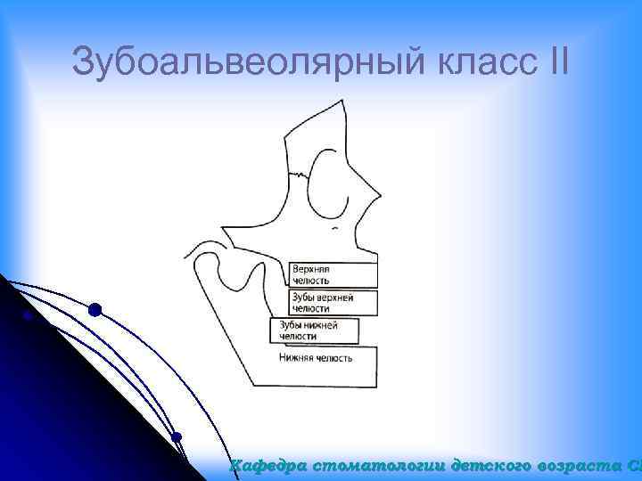 Зубоальвеолярный класс II Кафедра стоматологии детского возраста СГ 