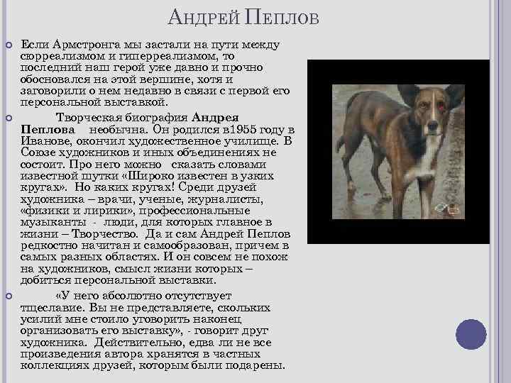 АНДРЕЙ ПЕПЛОВ Если Армстронга мы застали на пути между сюрреализмом и гиперреализмом, то последний
