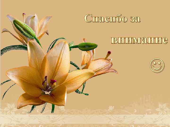 Спасибо за внимание 