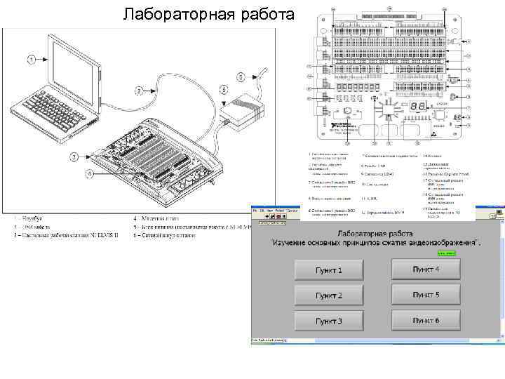 Лабораторная работа 
