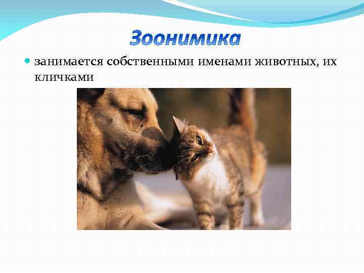  занимается собственными именами животных, их кличками 