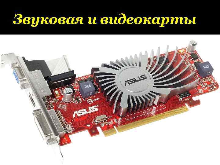 Звуковая и видеокарты 