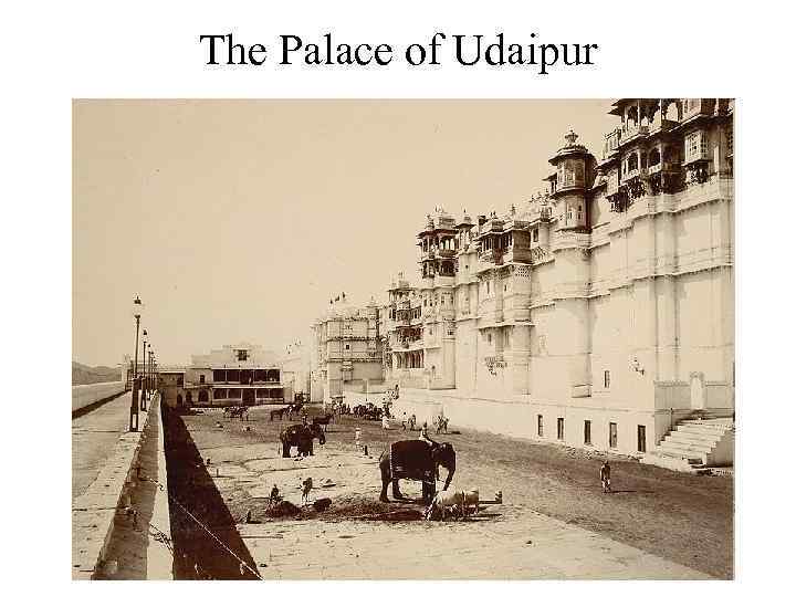 The Palace of Udaipur 