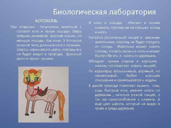Биологическая лаборатория КОТОКОНЬ При создании получилось животное с головой кота и телом лошади. Зверь