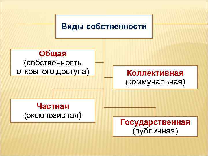 Виды собственности Общая (собственность открытого доступа) Частная (эксклюзивная) Коллективная (коммунальная) Государственная (публичная) 