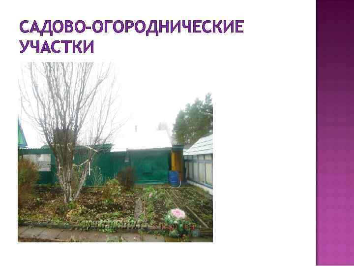 САДОВО-ОГОРОДНИЧЕСКИЕ УЧАСТКИ 