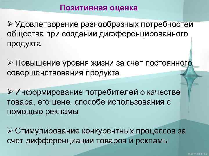 Позитивная оценка Ø Удовлетворение разнообразных потребностей общества при создании дифференцированного продукта Ø Повышение уровня