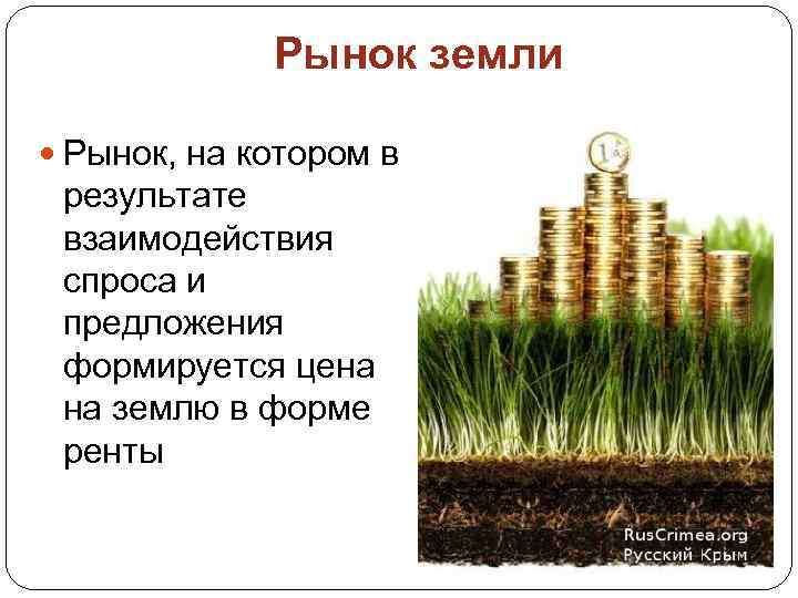 Рынок земли Рынок, на котором в результате взаимодействия спроса и предложения формируется цена на