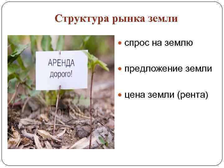 Структура рынка земли спрос на землю предложение земли цена земли (рента) 
