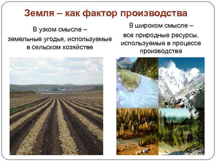 Земля – как фактор производства В узком смысле – земельные угодья, используемые в сельском