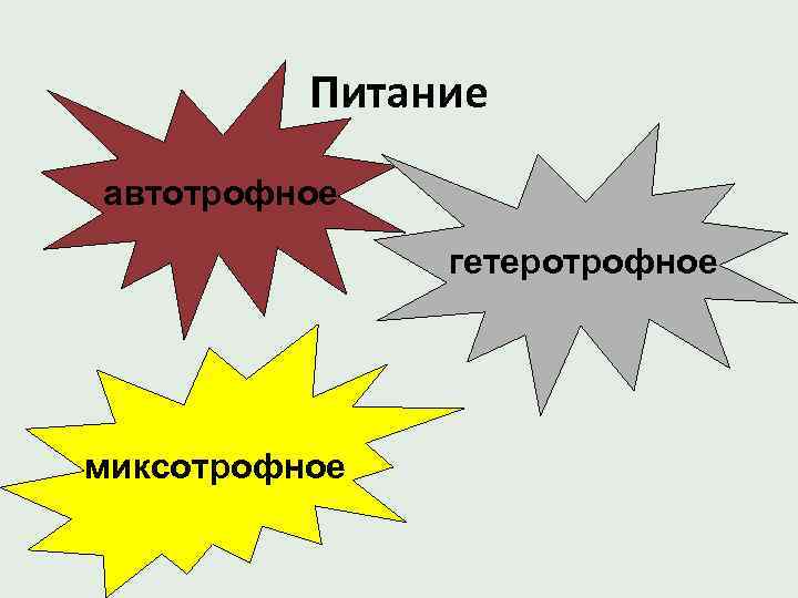 Питание автотрофное гетеротрофное миксотрофное 