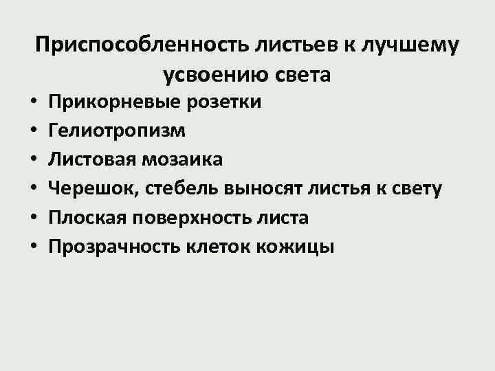 Приспособленность листьев к лучшему усвоению света • • • Прикорневые розетки Гелиотропизм Листовая мозаика