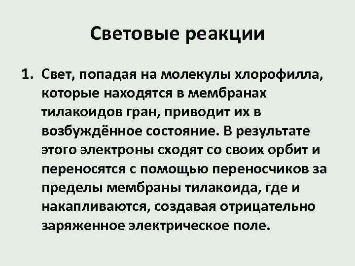 Световые реакции 1. Свет, попадая на молекулы хлорофилла, которые находятся в мембранах тилакоидов гран,