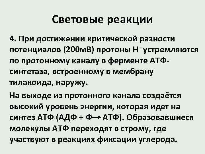 Световые реакции 4. При достижении критической разности потенциалов (200 м. В) протоны Н+ устремляются