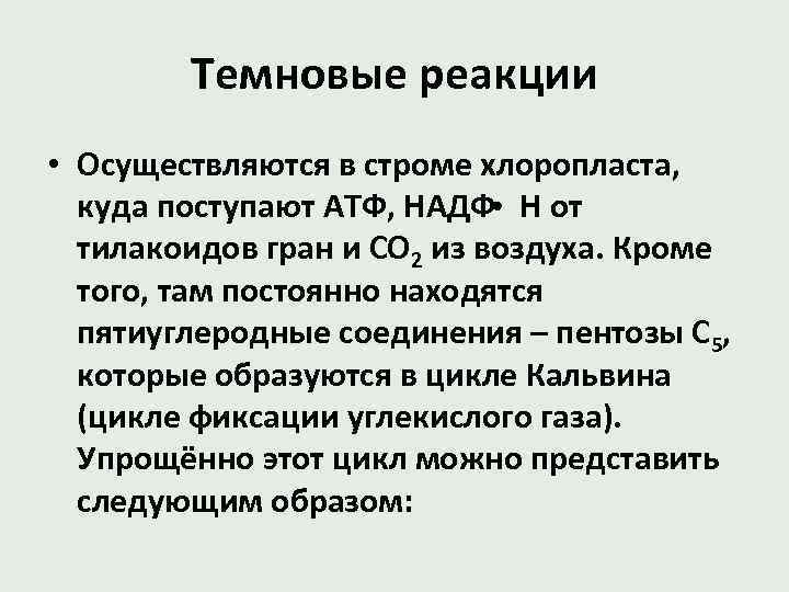 Темновые реакции • Осуществляются в строме хлоропласта, куда поступают АТФ, НАДФ Н от тилакоидов