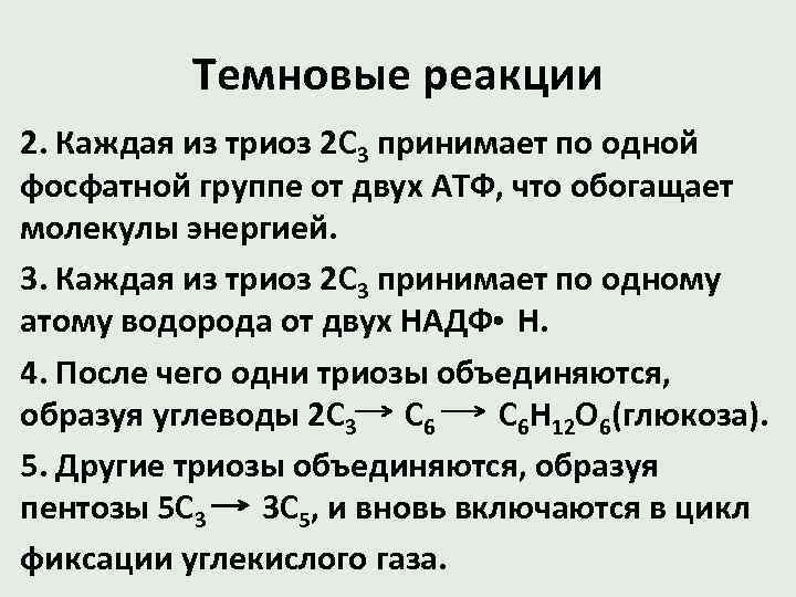 Темновые реакции 2. Каждая из триоз 2 С 3 принимает по одной фосфатной группе