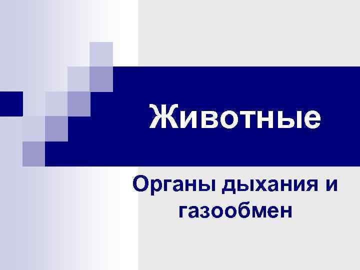 Животные Органы дыхания и газообмен 