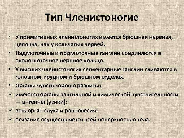 Тип Членистоногие • У примитивных членистоногих имеется брюшная нервная, цепочка, как у кольчатых червей.