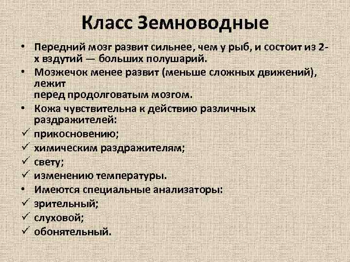 Класс Земноводные • Передний мозг развит сильнее, чем у рыб, и состоит из 2