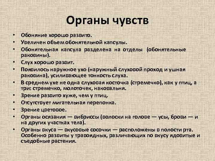 Органы чувств • Обоняние хорошо развито. • Увеличен объем обонятельной капсулы. • Обонятельная капсула