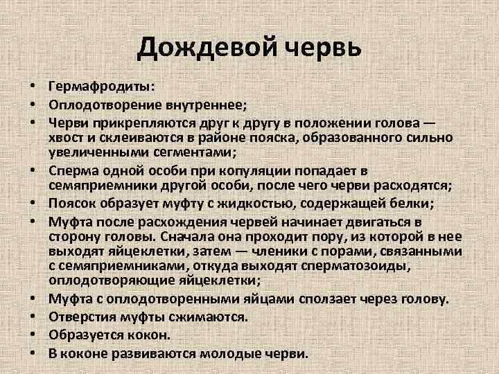 Дождевой червь • Гермафродиты: • Оплодотворение внутреннее; • Черви прикрепляются друг к другу в