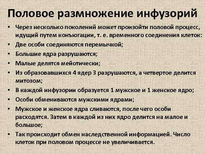 Половое размножение инфузорий • Через несколько поколений может произойти половой процесс, идущий путем конъюгации,