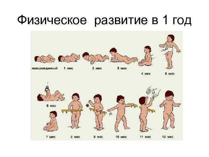 Физическое развитие в 1 год 