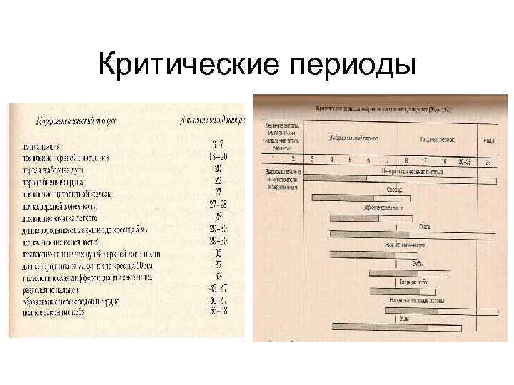 Критические периоды 