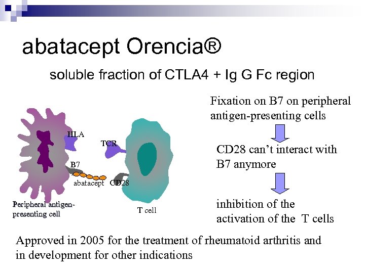 abatacept Orencia® soluble fraction of CTLA 4 + Ig G Fc region Fixation on