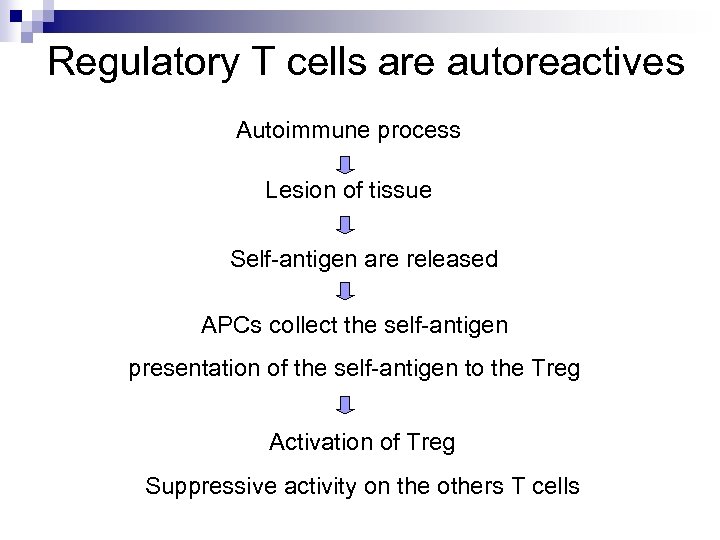 Regulatory T cells are autoreactives Autoimmune process Lesion of tissue Self-antigen are released APCs