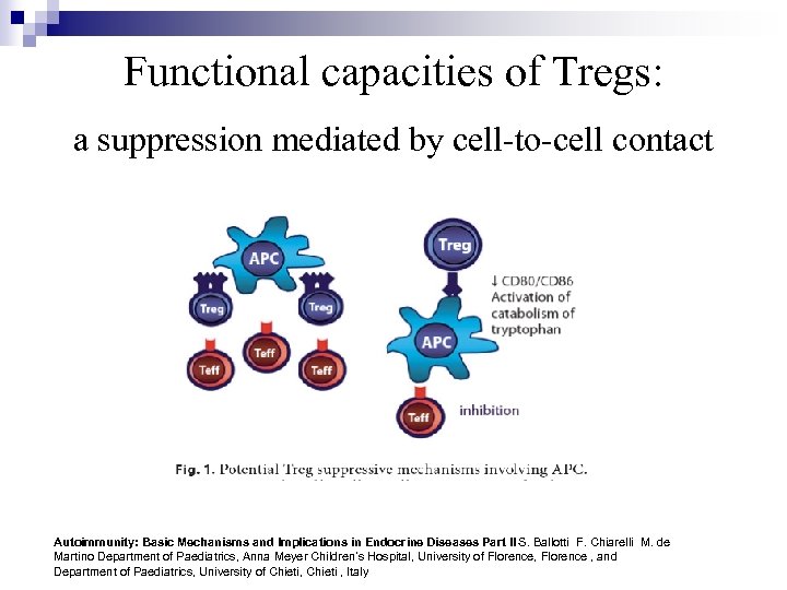 Functional capacities of Tregs: a suppression mediated by cell-to-cell contact Autoimmunity: Basic Mechanisms and