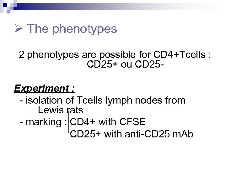  The phenotypes 2 phenotypes are possible for CD 4+Tcells : CD 25+ ou